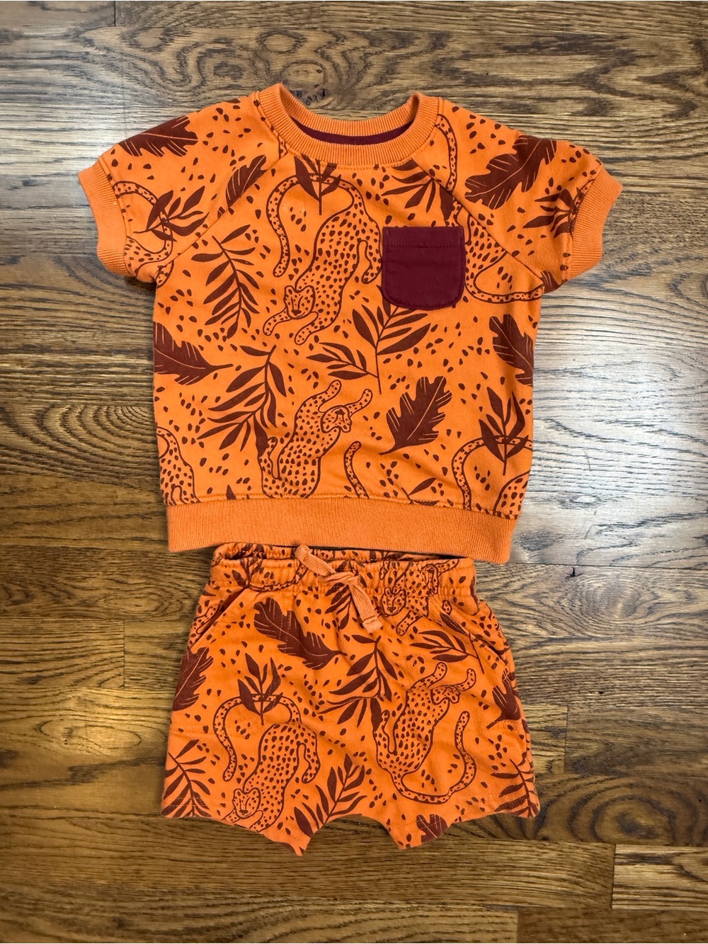 Cat & Jack x Danielle Peterson Kids Cheetah Print Sweatshirt/ Short Set 18 M